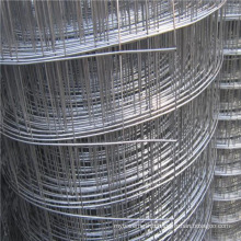 3.0 mm Galvanized Welded Wire Mesh